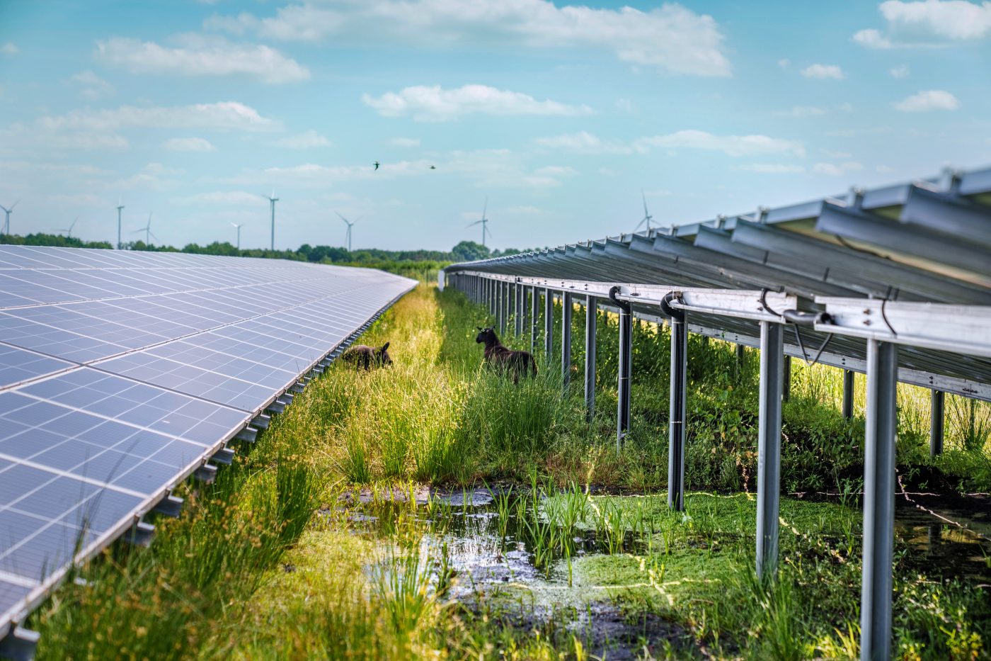 PowerGo - Energìa 100% solar